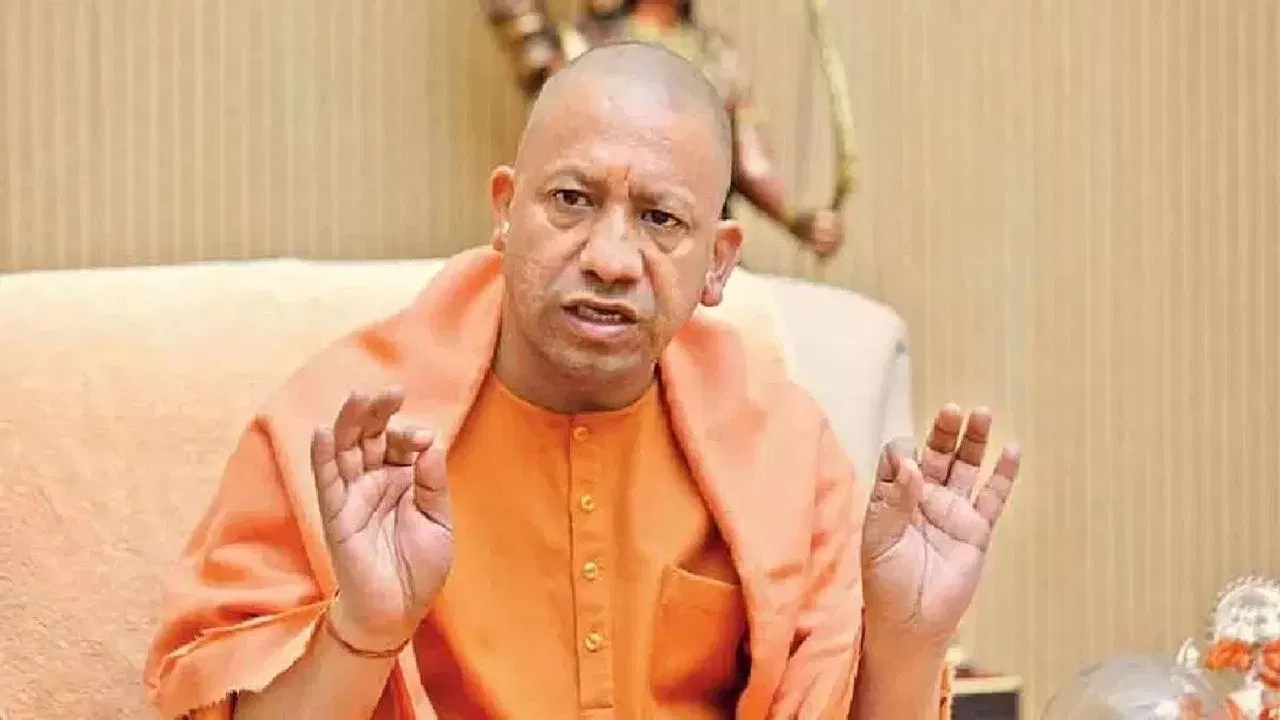 cm yogi 2 1