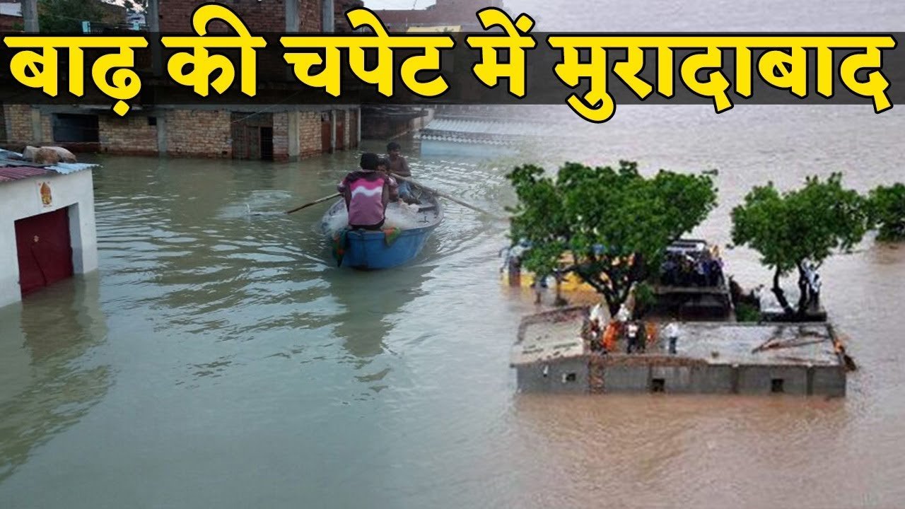 रामगंगा बाढ़ से टूटा मुरादाबाद का पुल, महिला की मौत, कई गांवों का संपर्क कटा