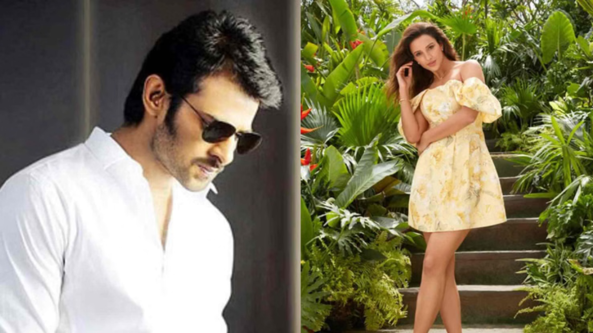 Triptii Dimri Supports Deepika Padukone Spirit Film Controversy Sparks Reddit Reactions