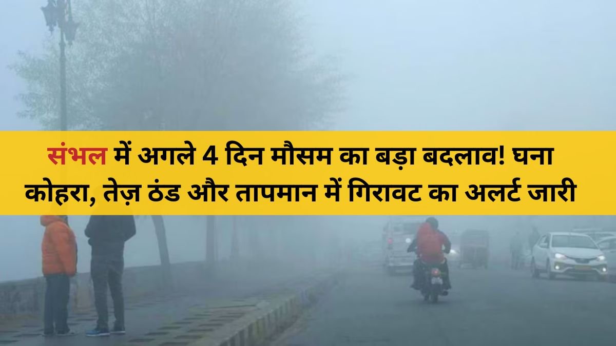 ठंड और कोहरे के बीच संभल शहर की सर्द सुबह का नज़ारा
