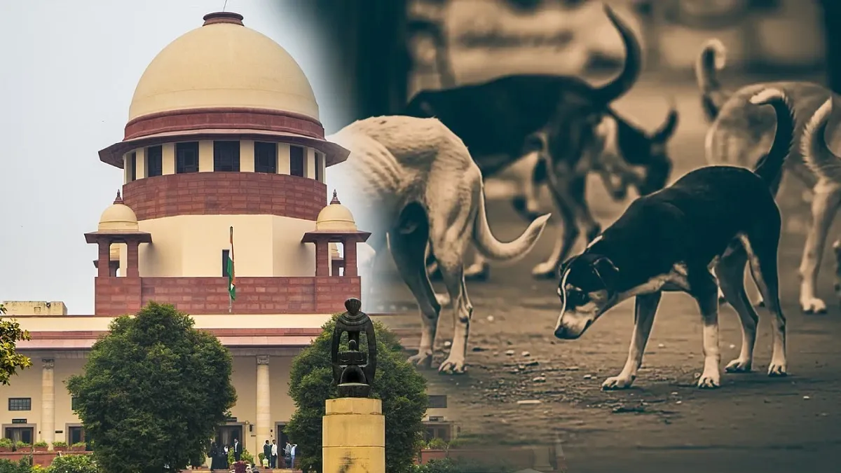 Supreme Court Orders Removal of Stray Dogs from Public Premises | Dainik Diary