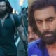 Ranveer Singh की Dhurandhar ने रचा इतिहास, Jawan और Animal को पछाड़ बनी भारत की सबसे बड़ी बॉलीवुड फिल्म