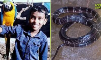 Kerala Snakebite: Thrissur में सोते बच्चे को सांप ने डसा, Aljo की मौत, Anjo Critical | Dainik Diary