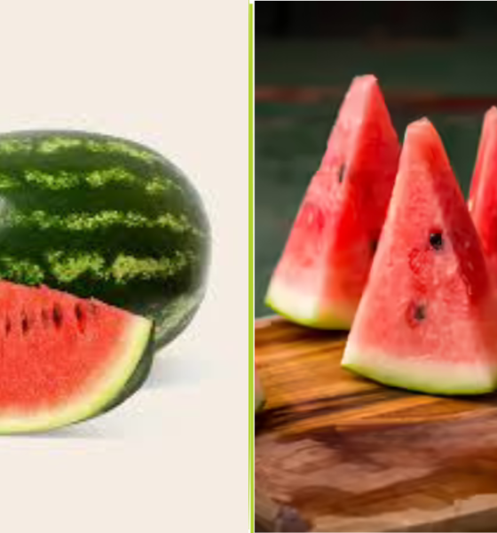 Mumbai Family Dies After Suspected Food Poisoning From Watermelon | Dainik Diary