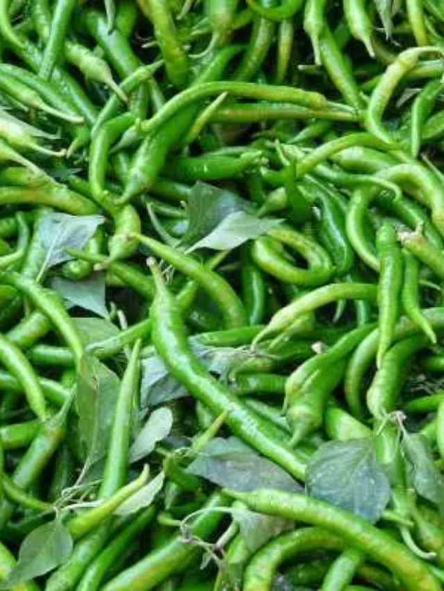 हरी मिर्च रोज़ खाने से क्या होता है? जानें फायदे और सावधानियां